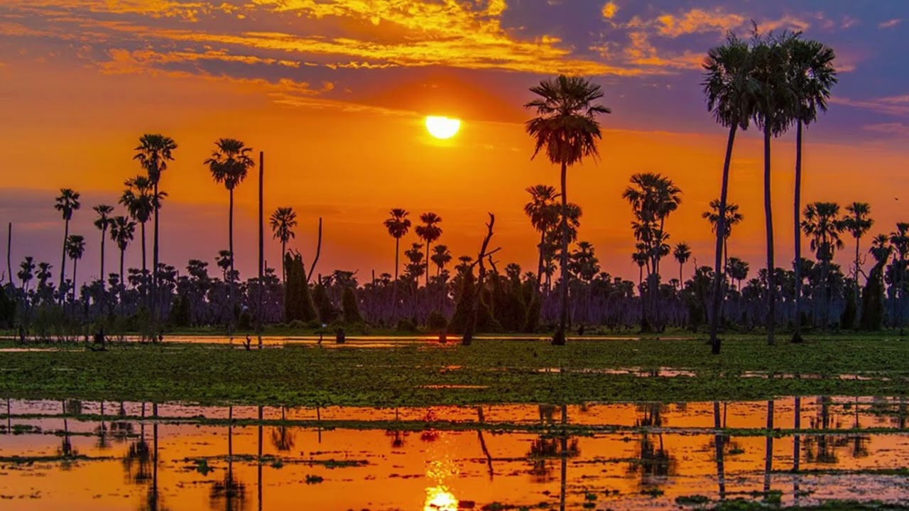 Regi&oacute;n  Nordeste de Argentina