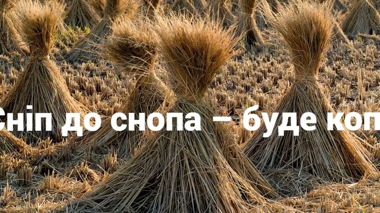 Українські прислів'я і приказки