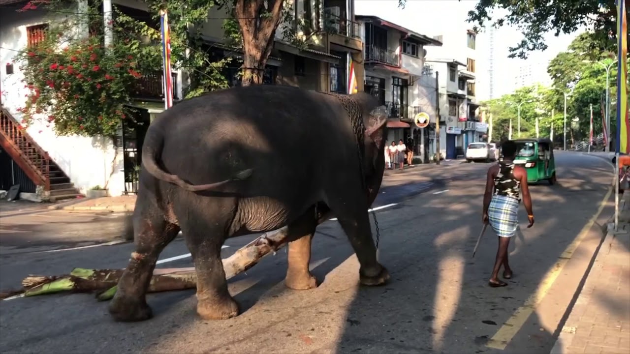 Gangaramaya