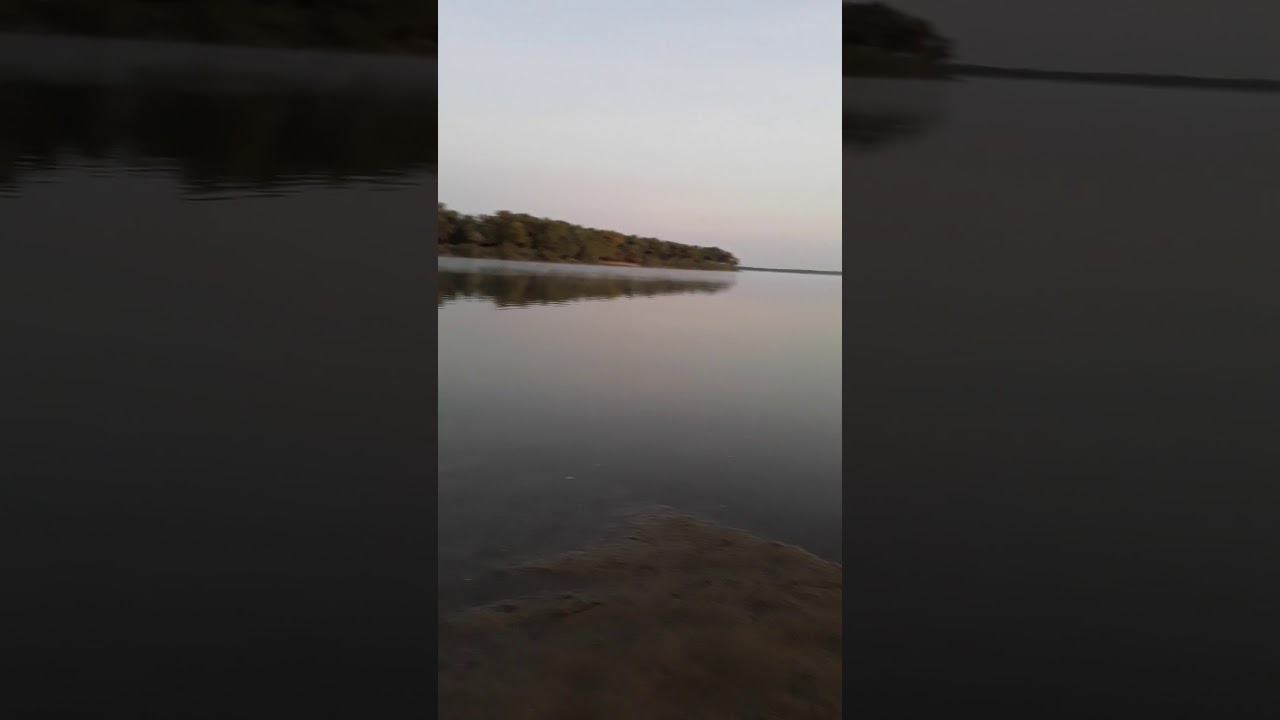 4 октября 2019 г.