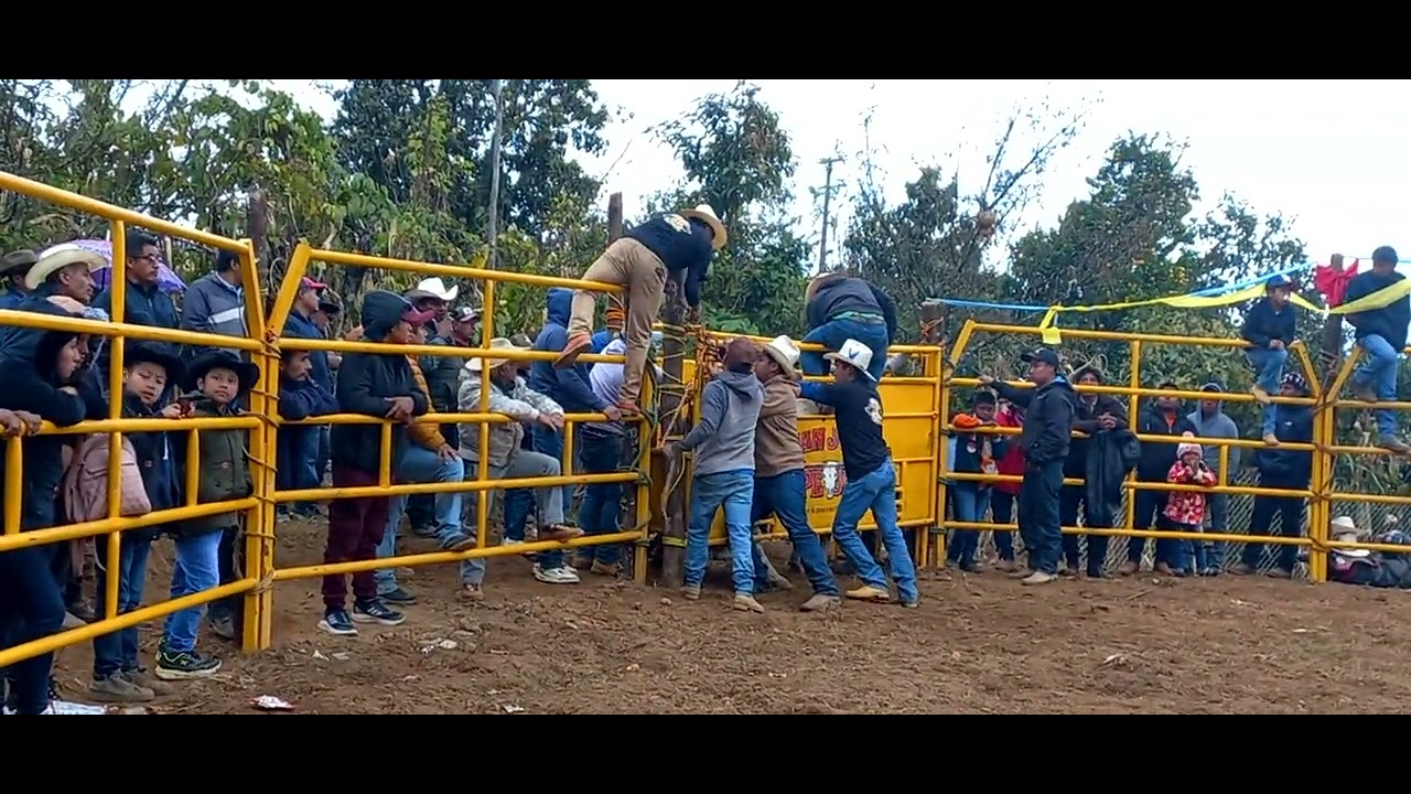Torneo de Ganaderías enero 28- 2026 San Pedro Cuyaltepec 