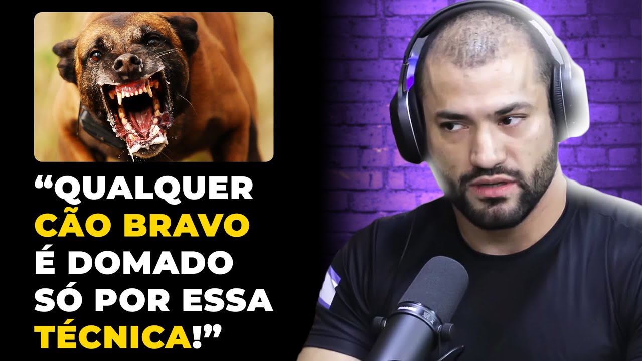 COMO SOBREVIVER A UM ATAQUE CANINO? (com Wesley Gimenez) | PODCAST do MHM