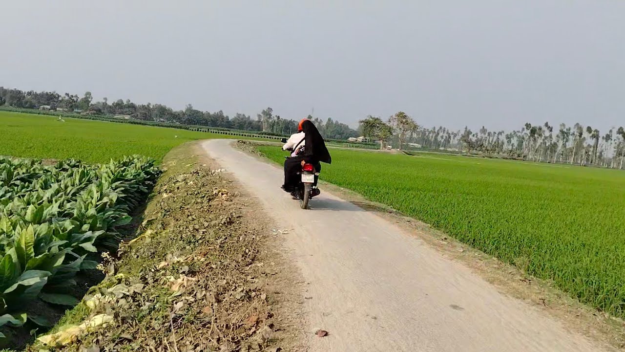 ডানে ভূট্টাক্ষেত, তামাক, বাঁয়ে ধানক্ষেত, মাঝখানে মেঠো পথ,ছুটছে জীবন দুচোখ ভরে, ভুলে সব অভিযোগ-মত 