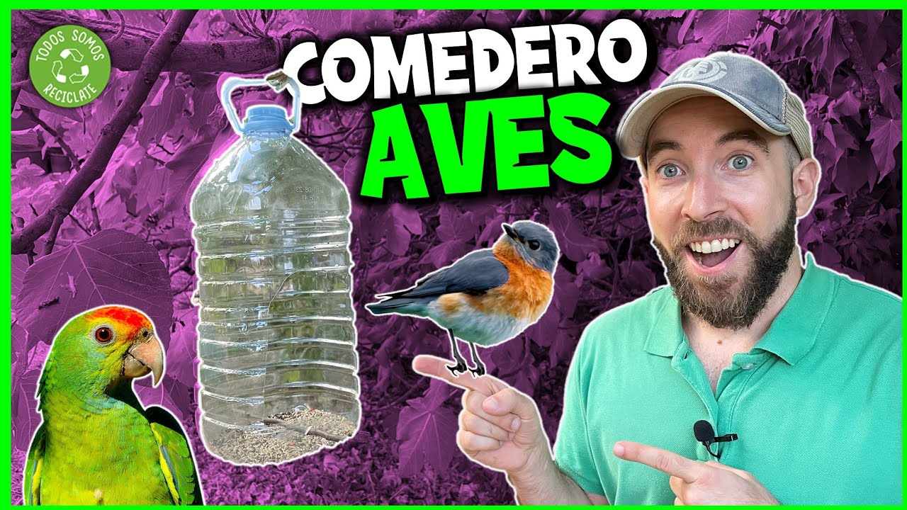 🐦C&oacute;mo hacer un COMEDERO y BEBEDERO Casero para P&Aacute;JAROS reutilizando BOTELLA de PL&Aacute;STICO (Muy f&aacute;cil)