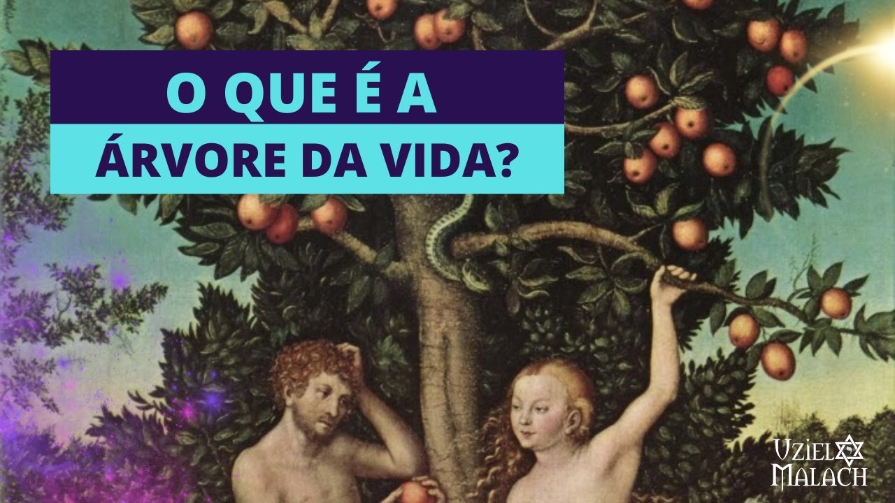 Desvende o Mistério da ÁRVORE DA VIDA!