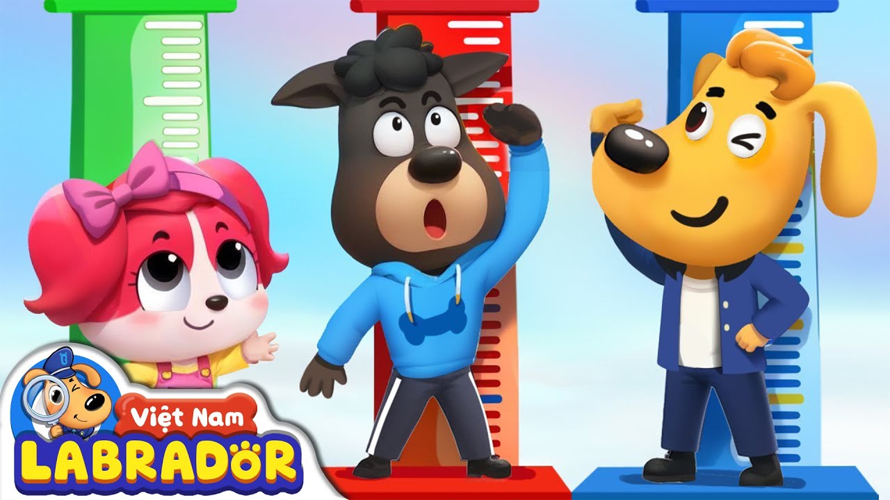 👨🏻&zwj;⚕️ Kiểm tra sức khỏe định kỳ của cảnh s&aacute;t 🩺 👮 Cảnh s&aacute;t trưởng Labrador Vietnam 🚔