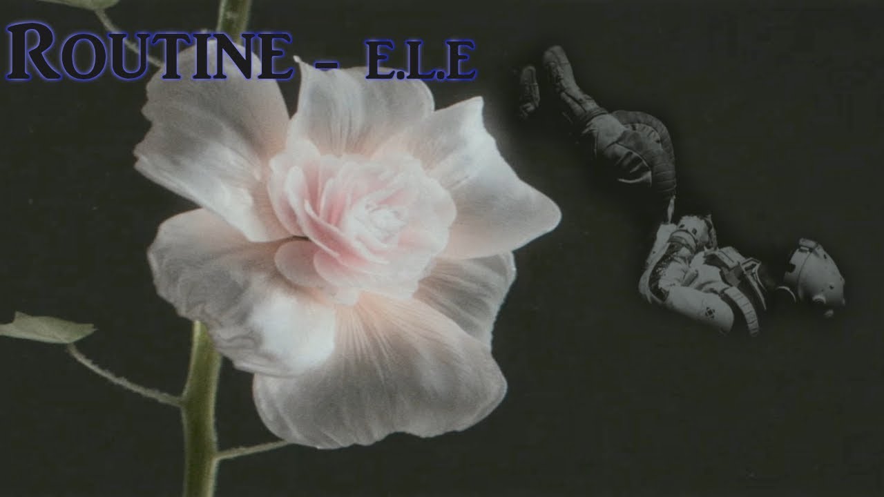 Routine - E.L.E