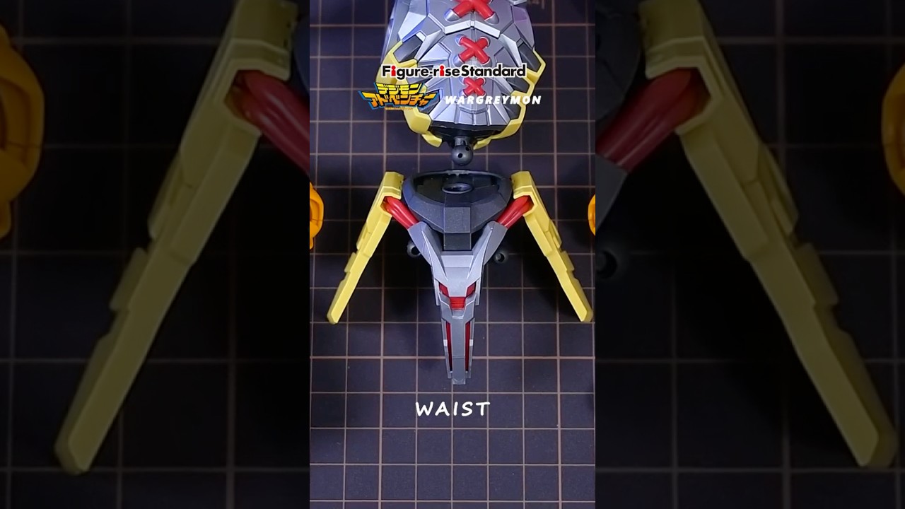 WARGREYMON Figure-rise Standard Digimon Adventure (Amplified) BANDAI (Build Waist) #shorts #digimon