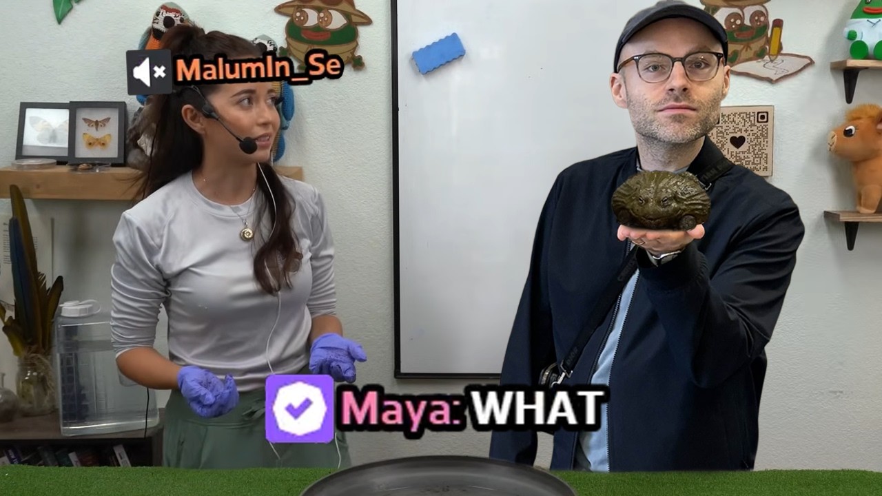 MalumIn_Se - The Maya Higa Impersonator