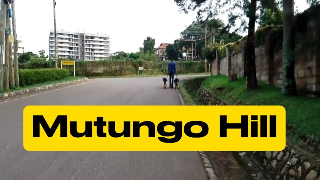 Mutungo Hill | Kampala vibrant neighborhood| Stunning views