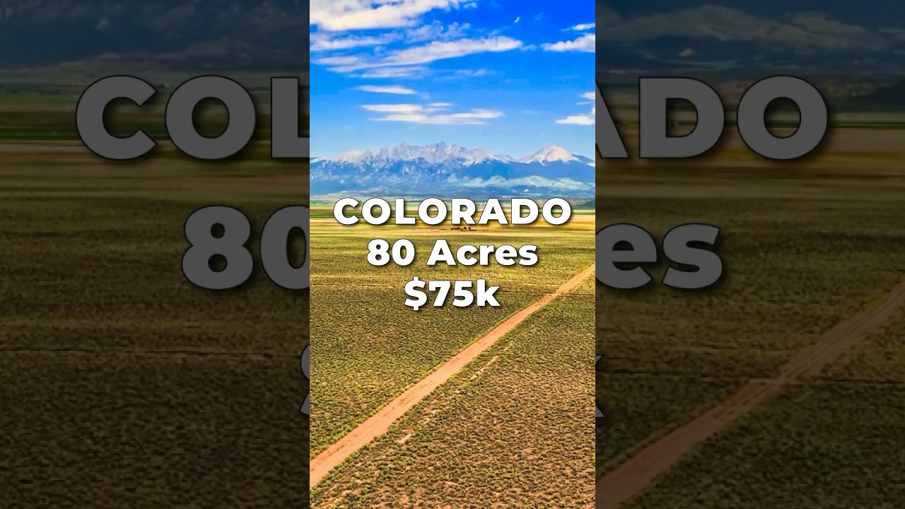 80 Acres of LAND for SALE in COLORADO for $75k &bull; LANDIO