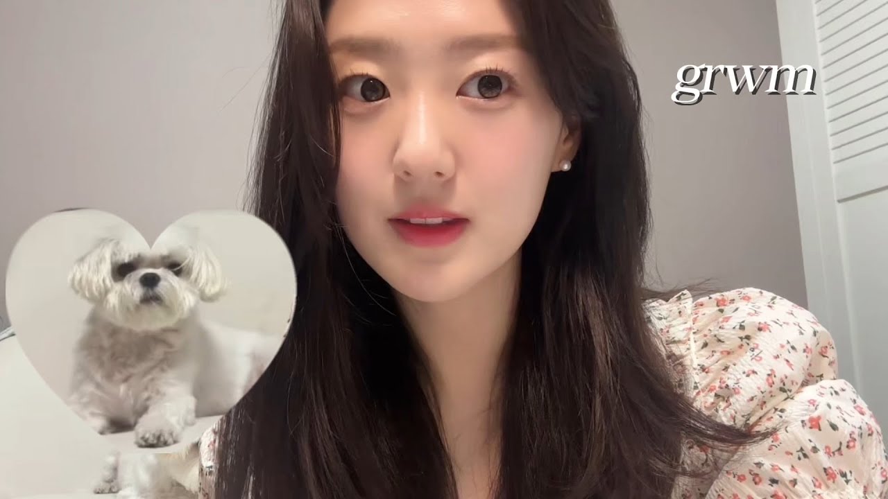 말티즈와 함께 겟레디윗미 ..