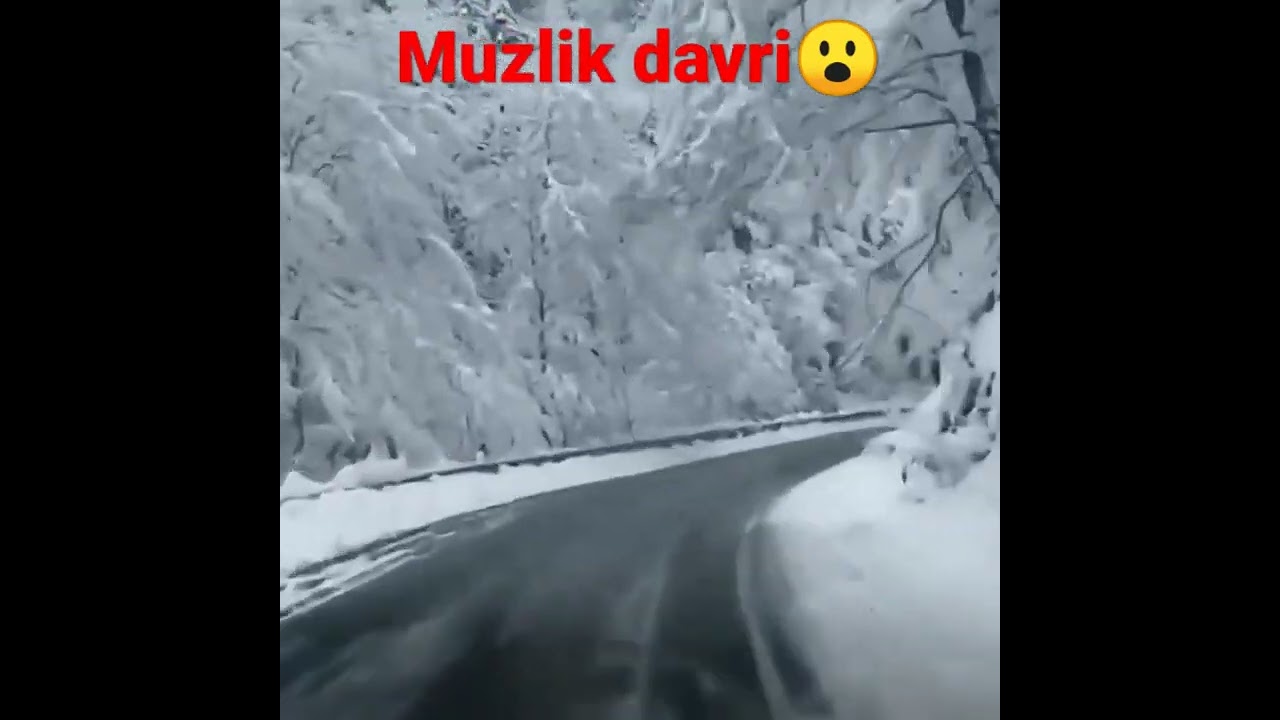 Muzlik davri
