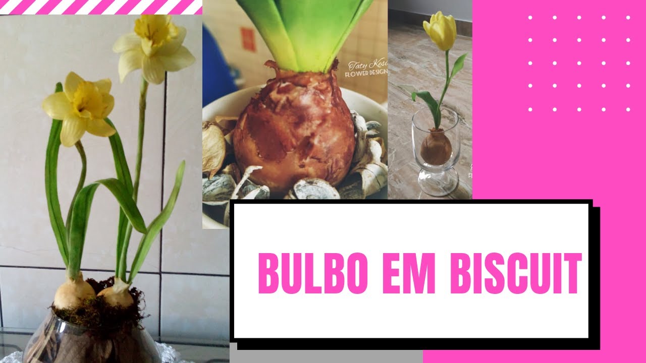 Bulbo em Biscuit