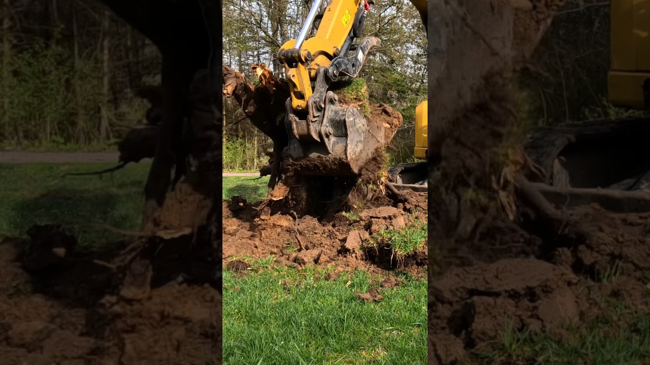Watch This Caterpillar 305E2 Dig Up a Tree Stump Like a Pro - Amazing!