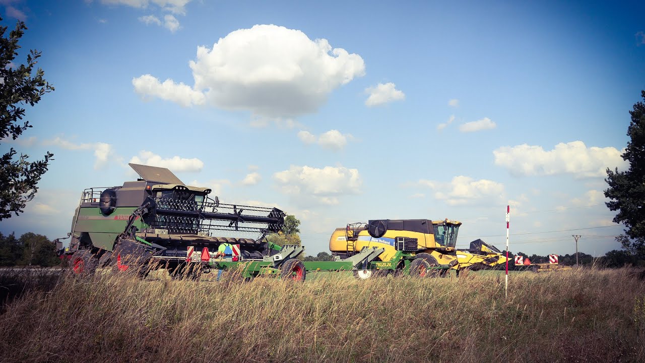 ŽNĚ 2025 ♥ - SKLIZEŇ OZIMÉHO TRITIKÁLE A PŠENICE 🌾//ZOD ŽIVANICE 🚜//ČÁST II.
