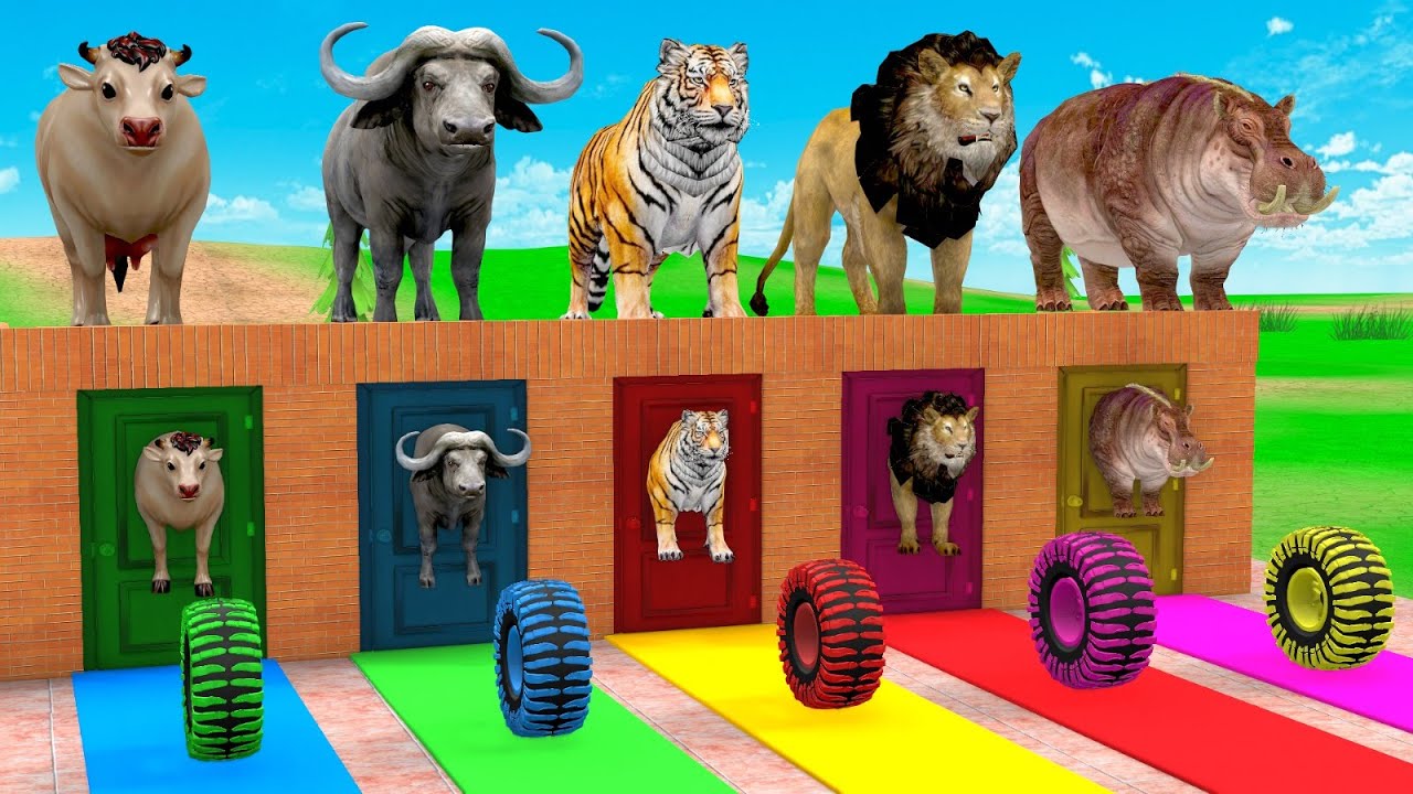 Long Slide Game with Cow, Lion, & Tiger| Funny Animora 3D Game 🐄🐘🦍🦖🦁