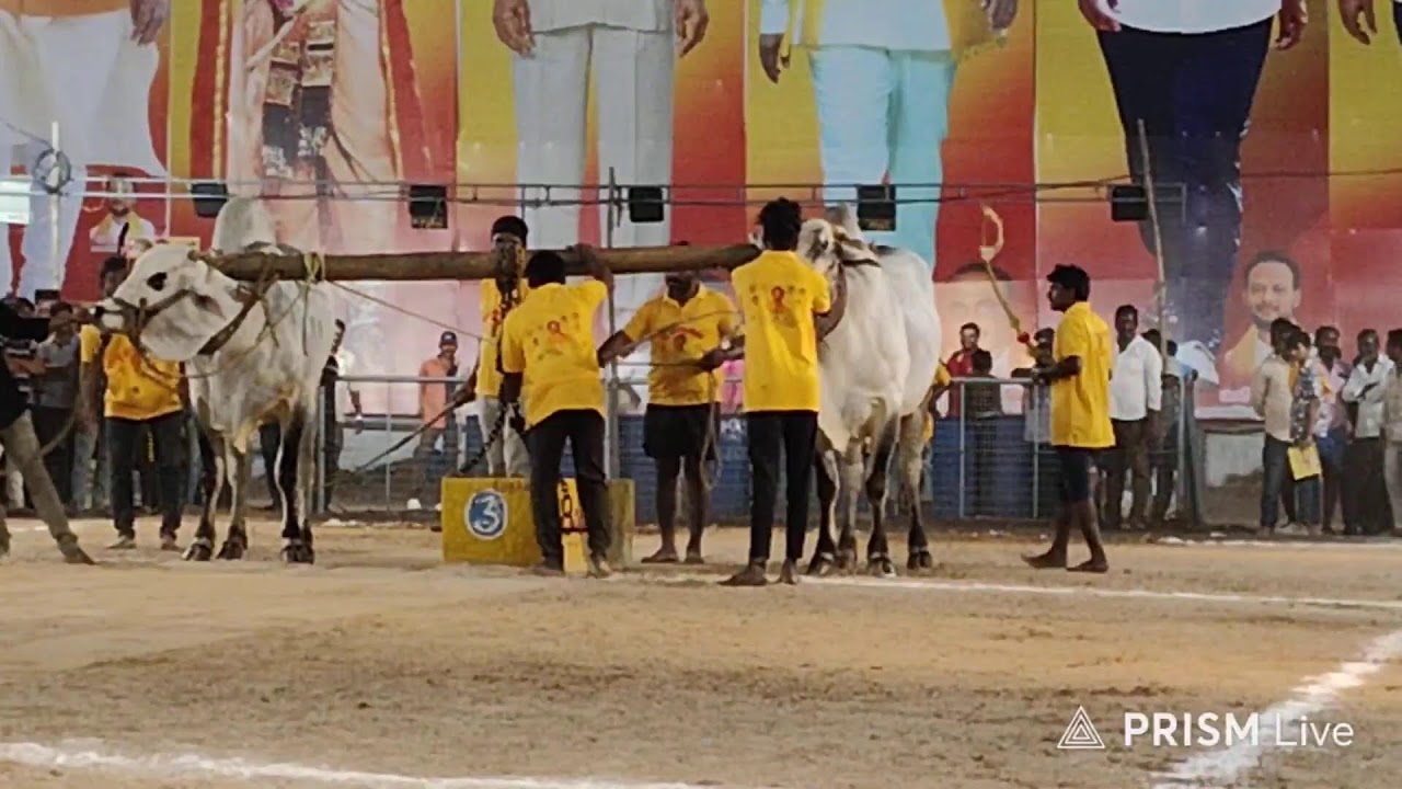 చిలకలూరిపేట టౌన్||సబ్ జూనియర్స్ విభాగం 4వ జత షేక్ బడే గారు 20-1-2026💥💥