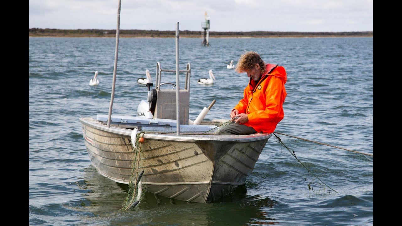 COORONG WILD SEAFOOD - FRDC ocean insights