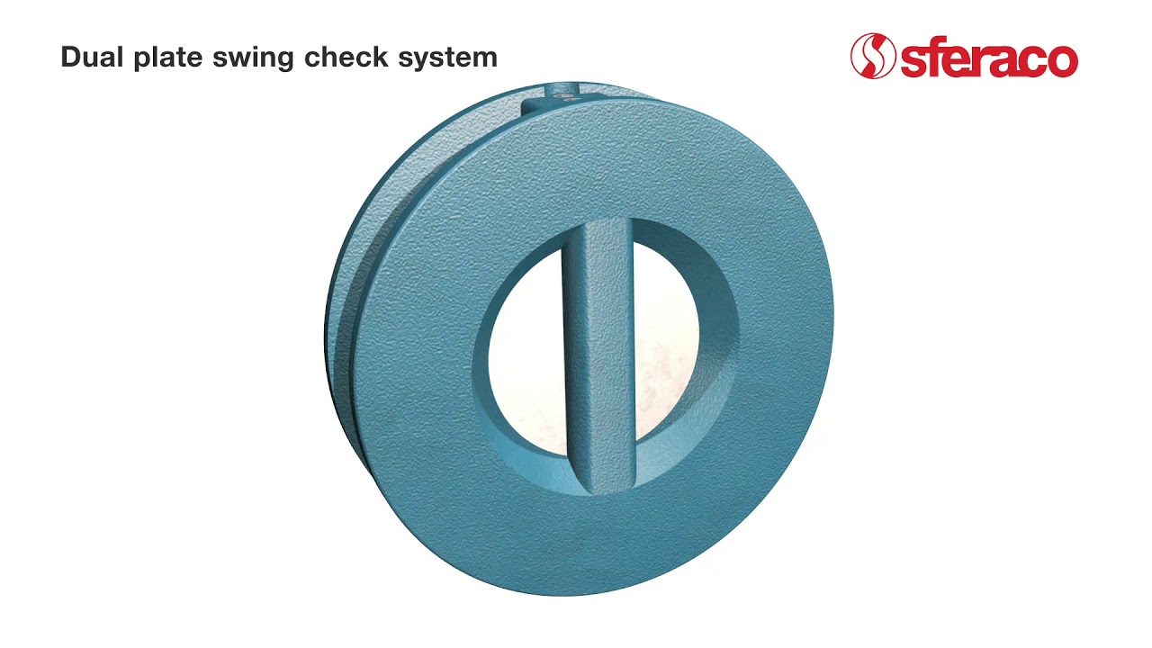 Dual plate swing system check valve - Figure 371 - SYVECO