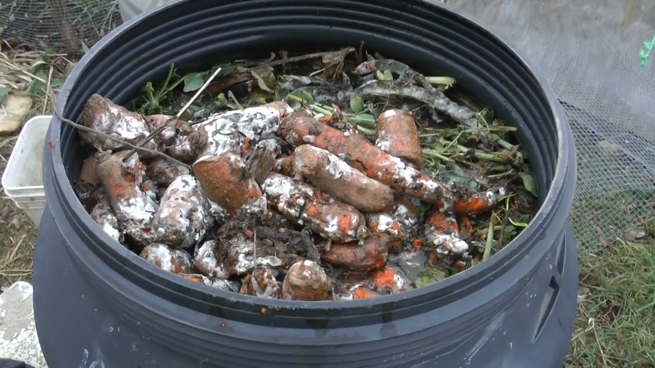 Rough week but am slowly coming out of it (moldy carrots pictured)