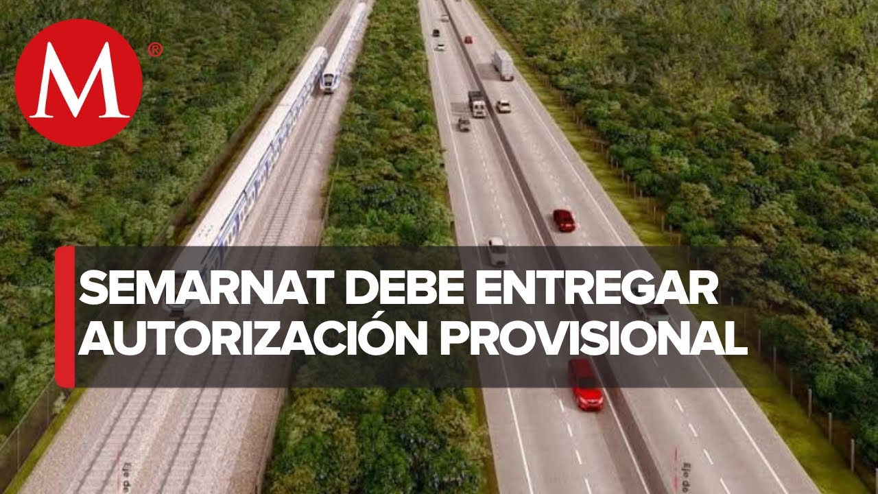 Semarnat debe entregar autorizaci&oacute;n provisional para construcci&oacute;n de tramo 4 de Tren Maya: INAI