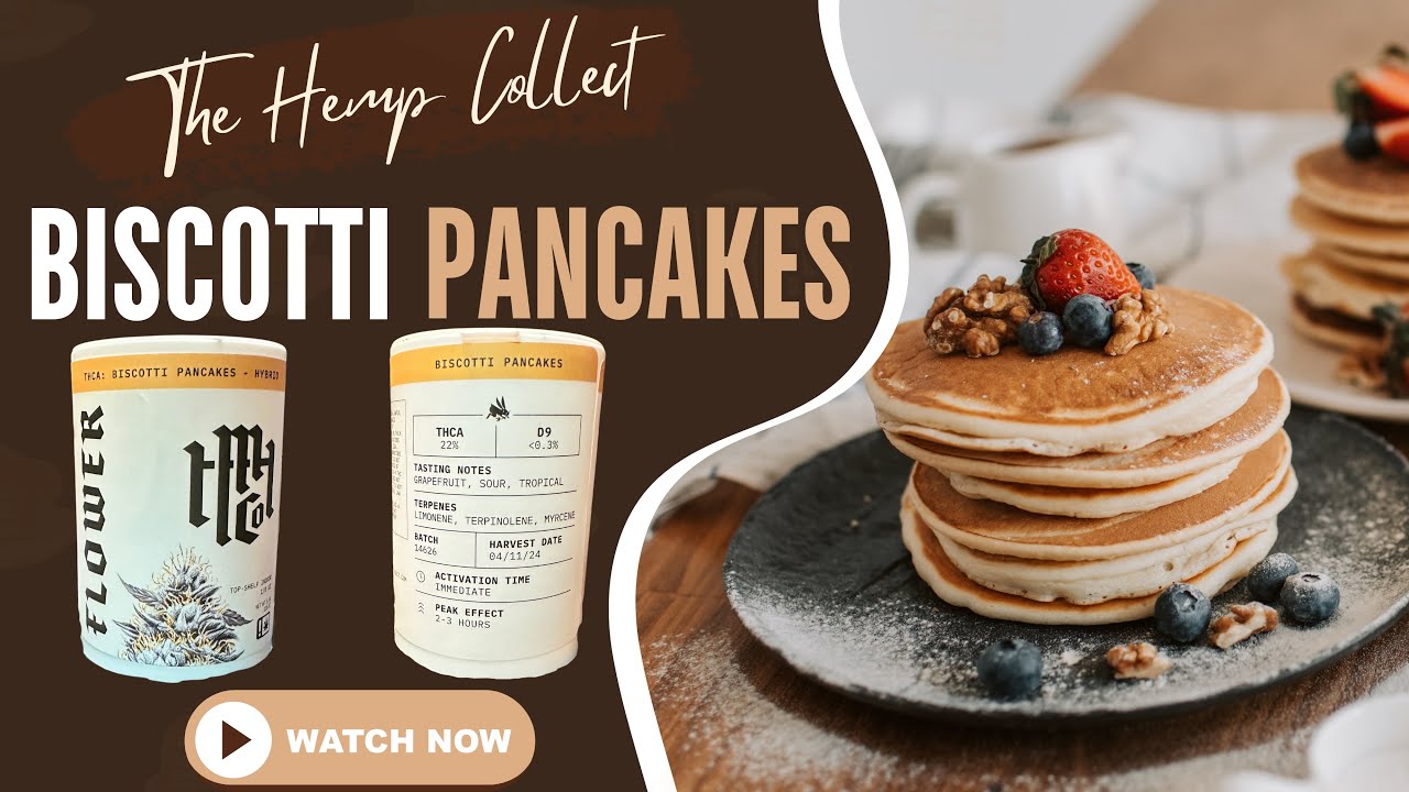 THE HEMP COLLECT THCA REVIEW: Biscotti Pancakes (🍋🍋&zwj;🟩🌴) Use Code: SPACECITY For 15% Off!!