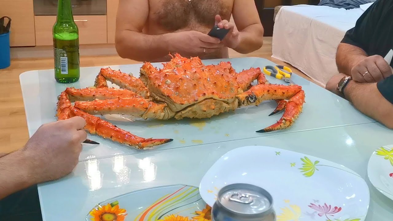 🦀 Как правильно есть краба | камчатский краб как чистить