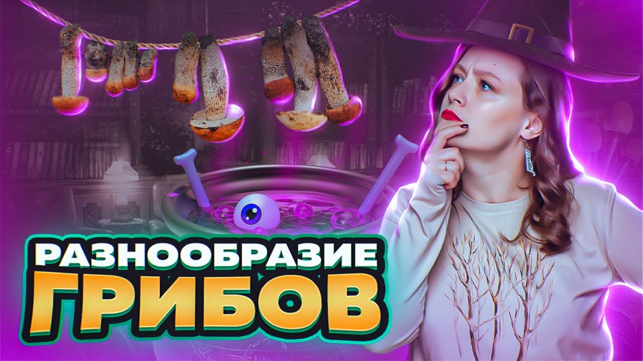 РАЗНООБРАЗИЕ ГРИБОВ | Современная классификация грибов | ЕГЭ-2025 по биологии