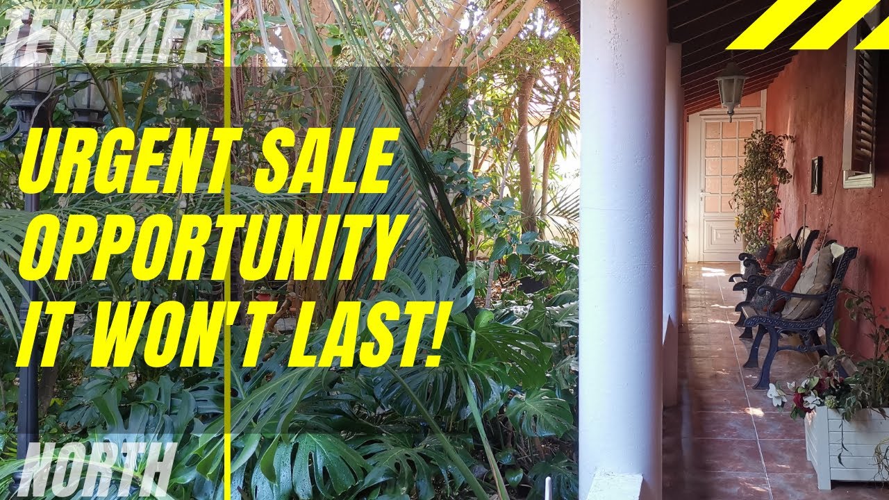 SOLD / VENDIDO Urgent sale, big house with 3 kitchens and a roof-bar