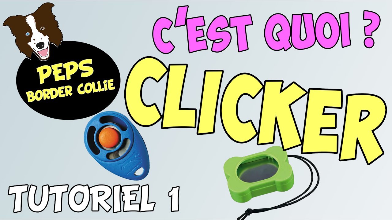 Apprendre à utiliser un CLICKER facilement