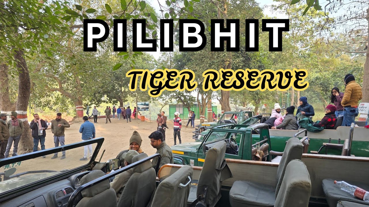  SAFARI PILIBHIT TIGER RESERVE || ZONE NO-2 || सप्तसरोवर झील || JEEP SAFARI 2026