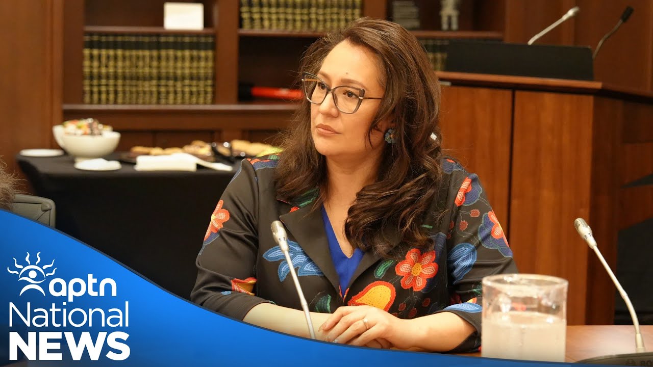 Gull-Masty on consultation | APTN News