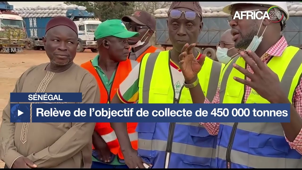 Sénégal - Campagne arachidière 2026 : l’État relève l’objectif de collecte à 450 000 tonnes