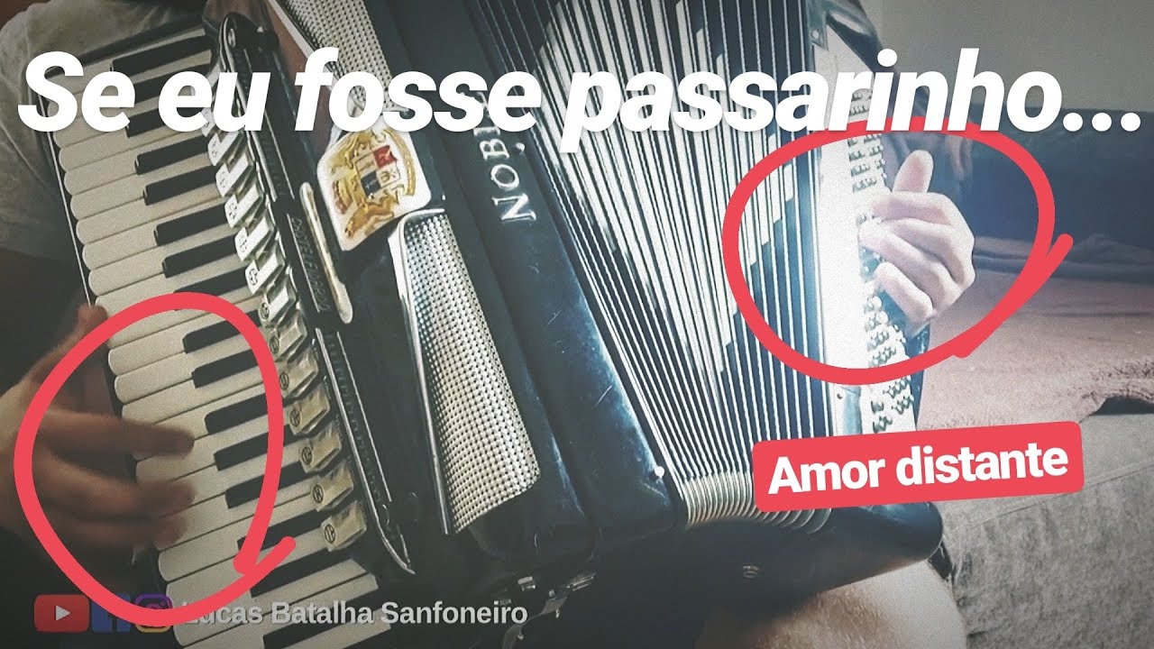Como tocar AMOR DISTANTE (Modão Sertanejo em Guarânia) - Aula de Acordeon