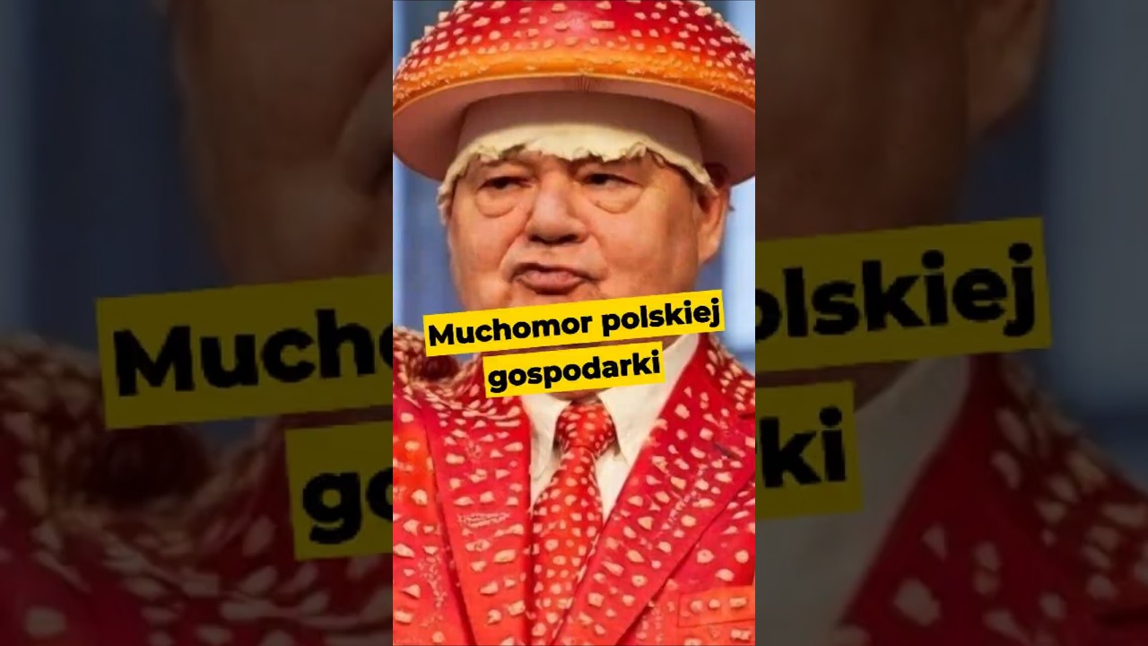 Muchomor polskiej gospodarki #polityka #Glapiński #muchomor #NBP #safe #finanse #IPPTVNaŻywo
