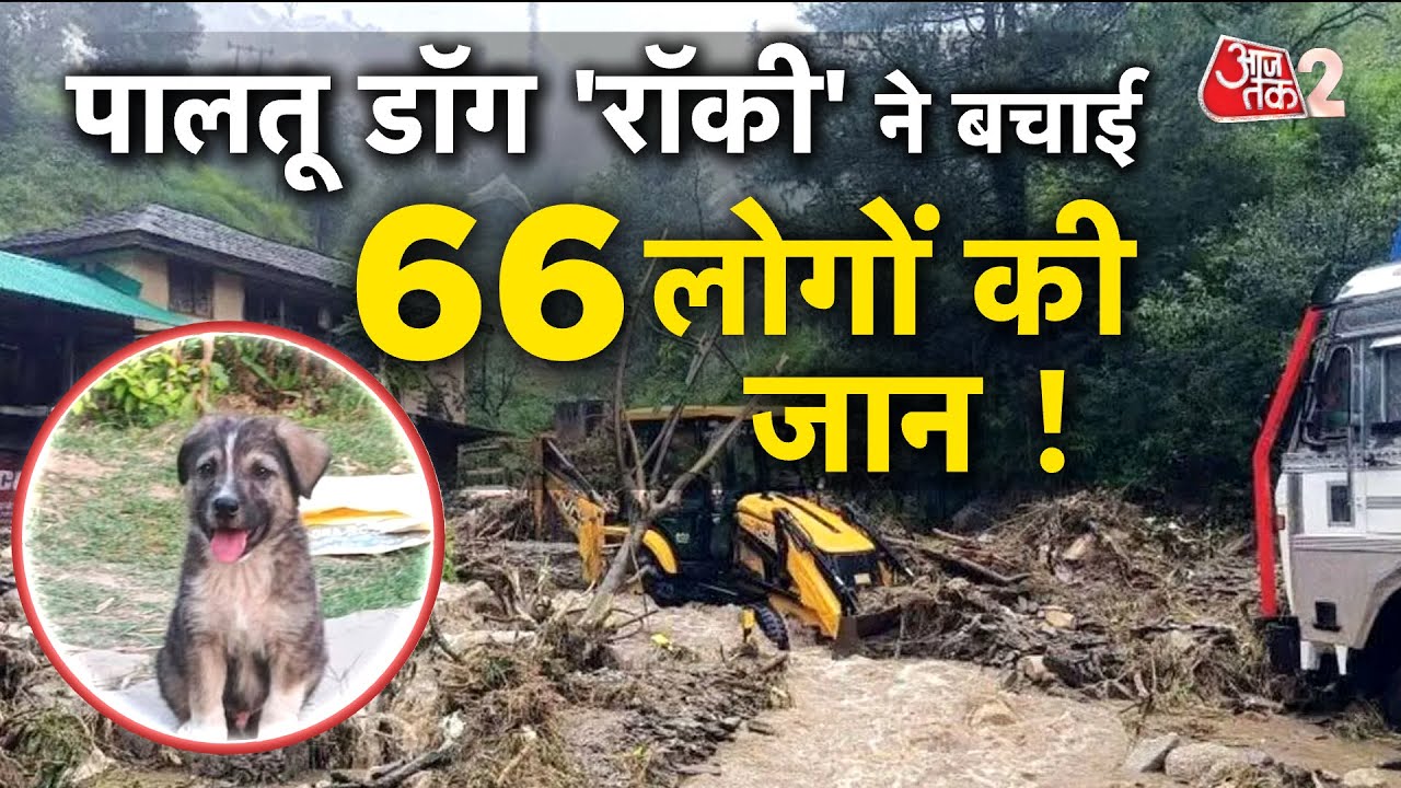AAJTAK 2 | HIMACHAL के MANDI में पालतू DOG ROCKY ने बचाई 66 लोगों की जान ! | AT2 VIDEO