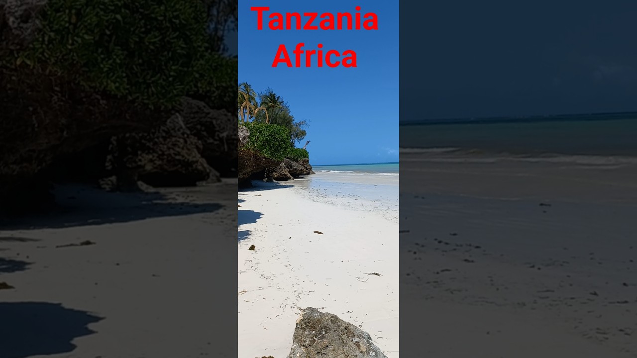 #africavlog #expatlife #tanzaniavlog #naturelovers #naturelovers #freelifestyle #movingtoafrica