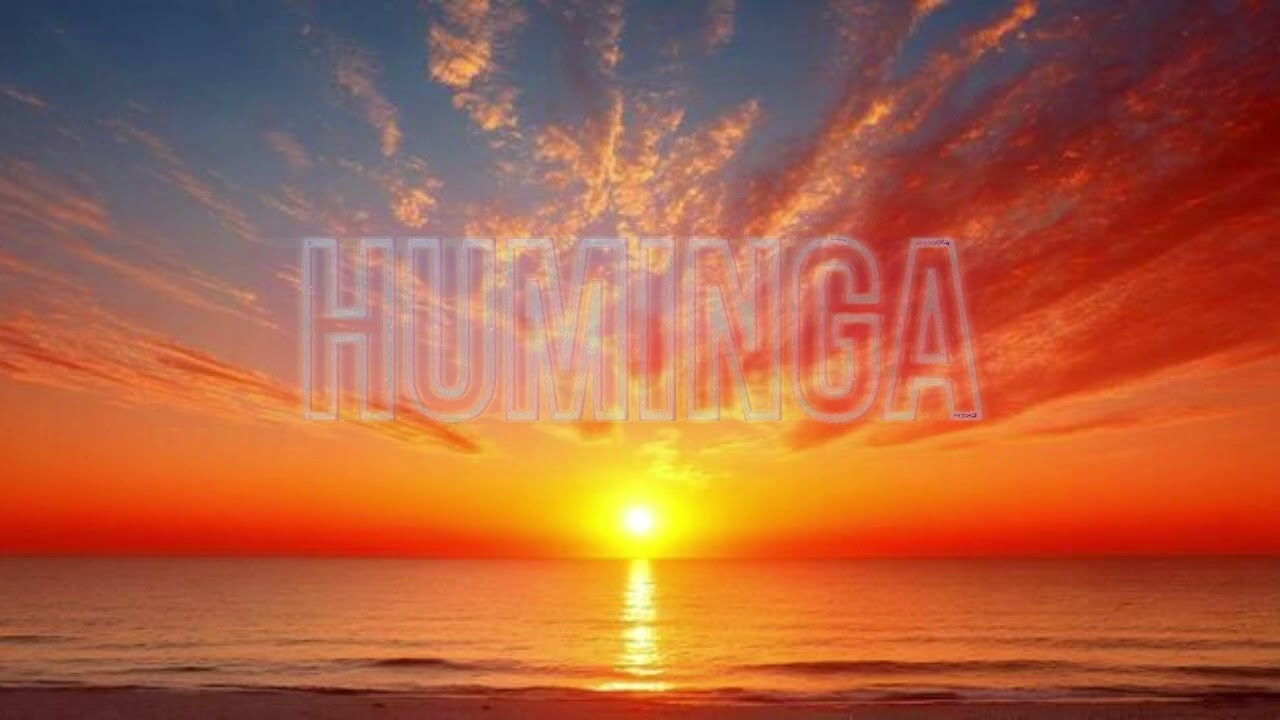HUMINGA