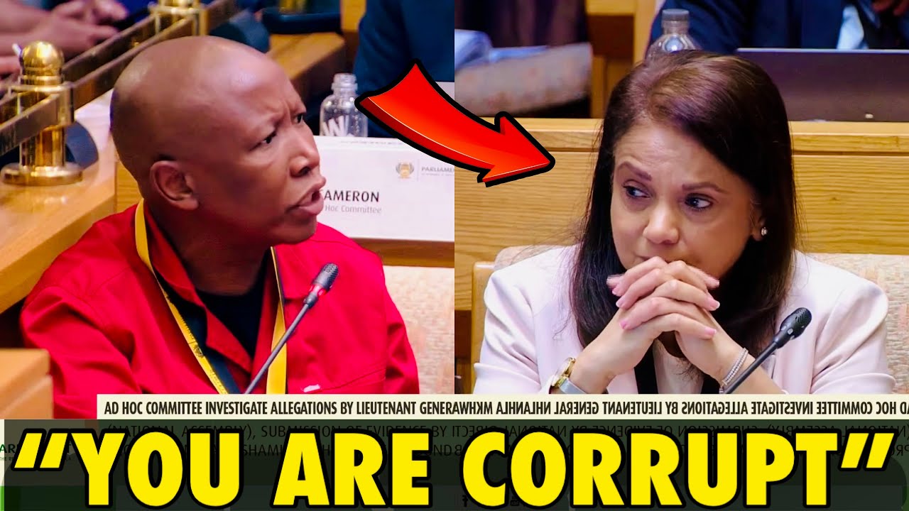JULIUS MALEMA: Jesteś bardziej skorumpowany niż CAT MATLALA