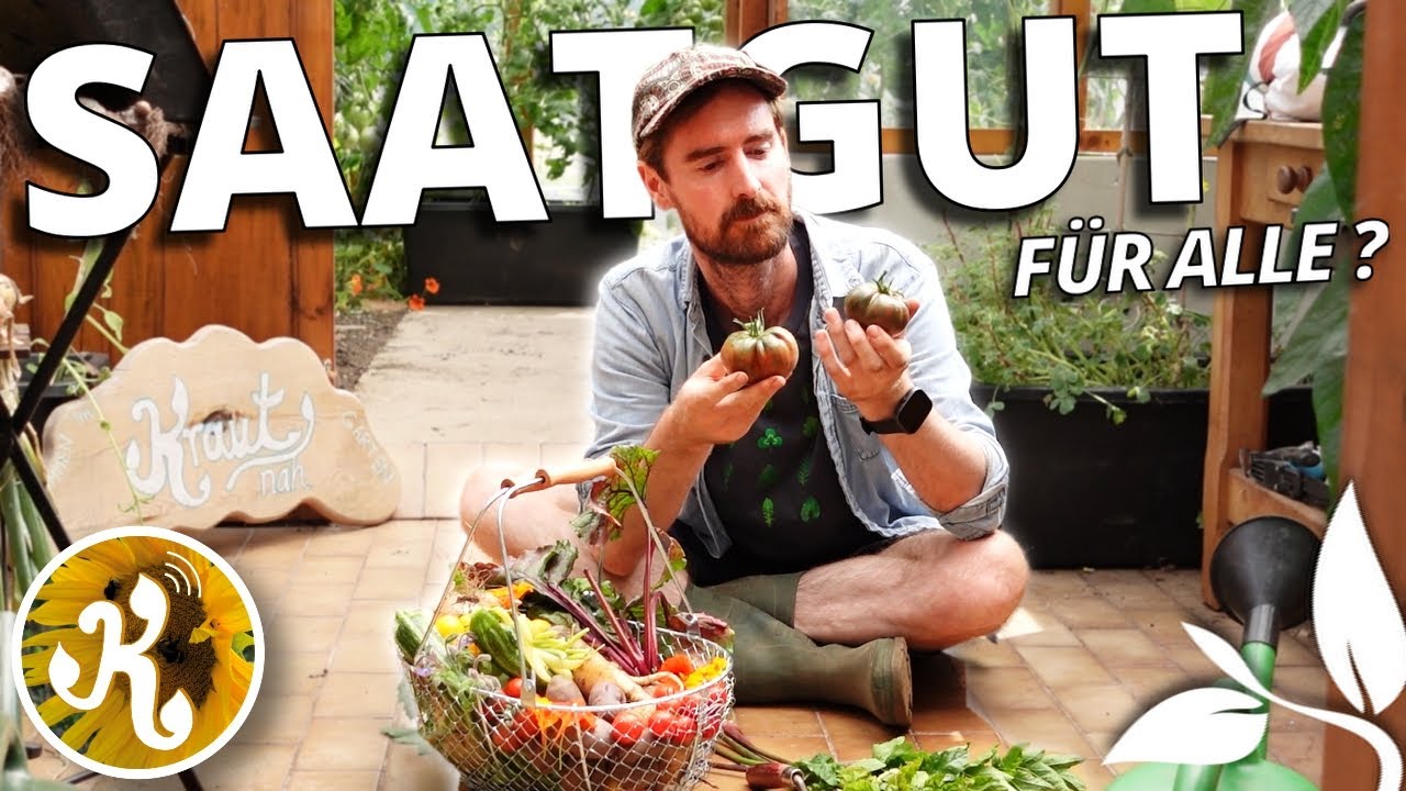 Mein Problem mit dem Saatguttausch 🫘 | Sommerernte im Gemüsegarten 🌼