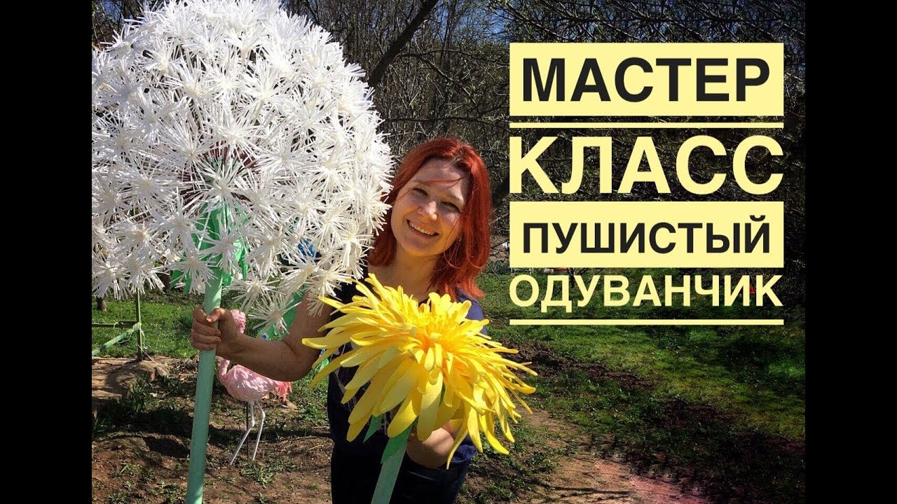 Мастер-класс ростовой пушистый одуванчик /DIY giant fluffy dandelion / Dente-de-leão macio gigante