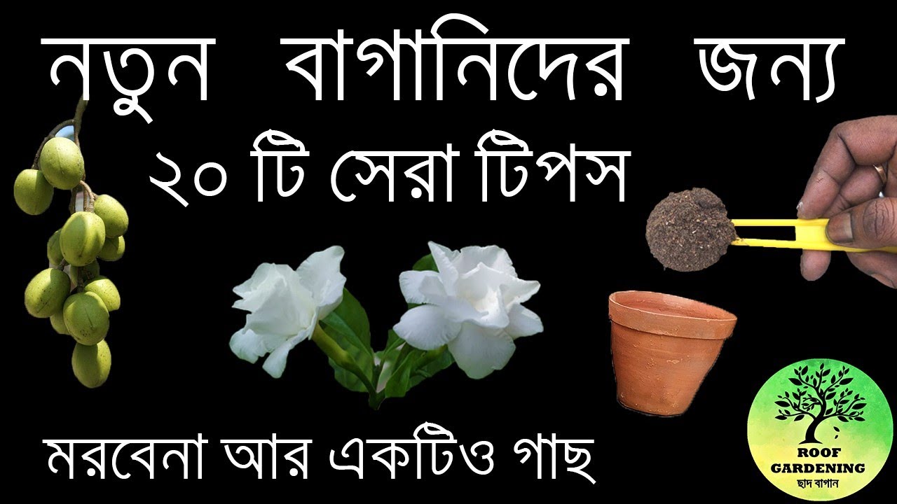 নতুন বাগানিদের জন্য ২০ টি সেরা টিপস / Gardening Tips For Beginners