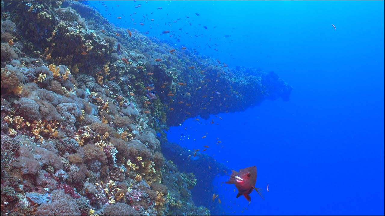 20220522 Green Island Diving 4K HDR (Full Version)