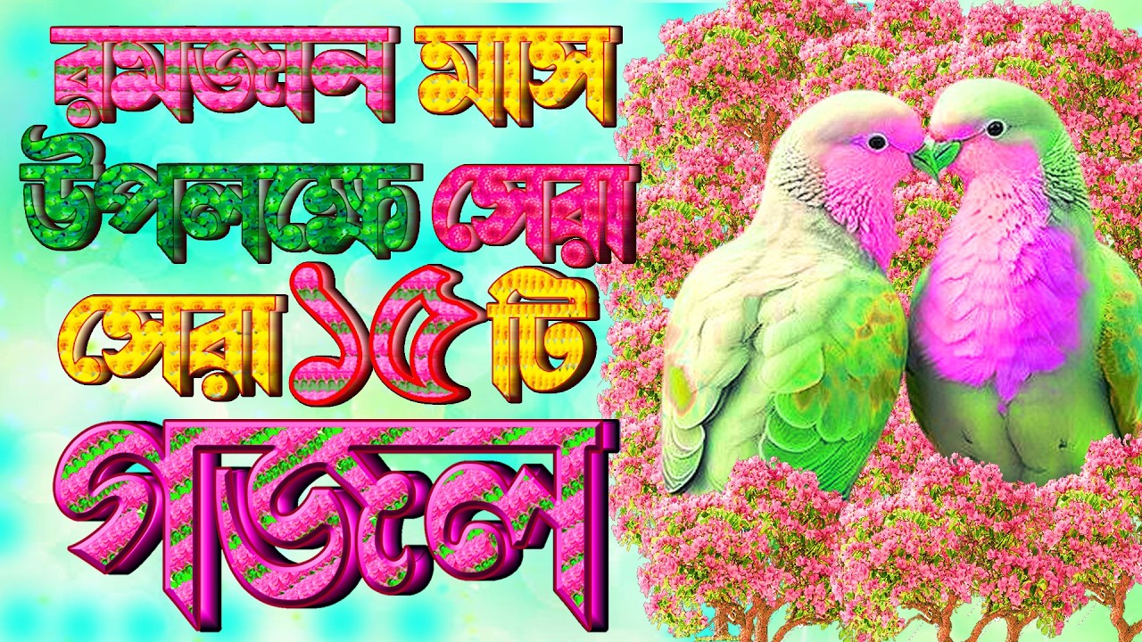 রমজান মাস উপলক্ষে সেরা ১০টি গজল |Best New Gazal |Islamic Gojol |Bangla Gajal |Top Gazal |Ghazal