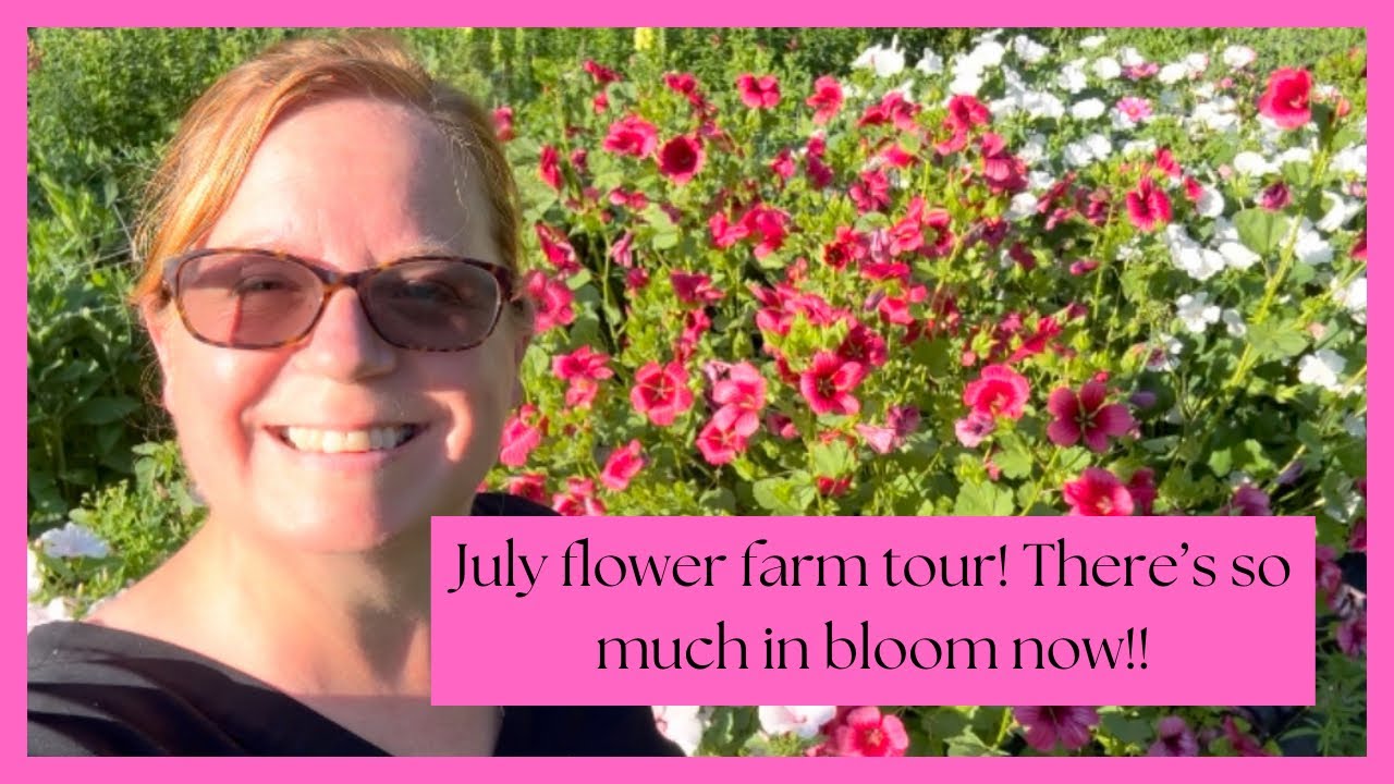 July Flower Farm Tour 🌸 So much has changed! 🌸 PNW Zone 8b