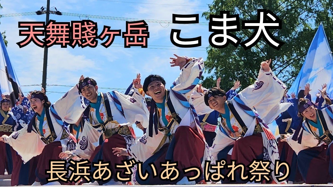 長浜あざいあっぱれ祭り【こま犬】天舞賤ヶ岳さん（2025.9.6）