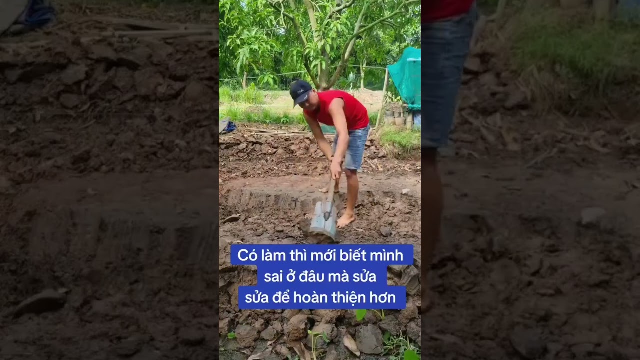 C&aacute;ch l&agrave;m bể l&oacute;t bạt &acirc;m đất #ocbuuxanh #nuoiocbebat