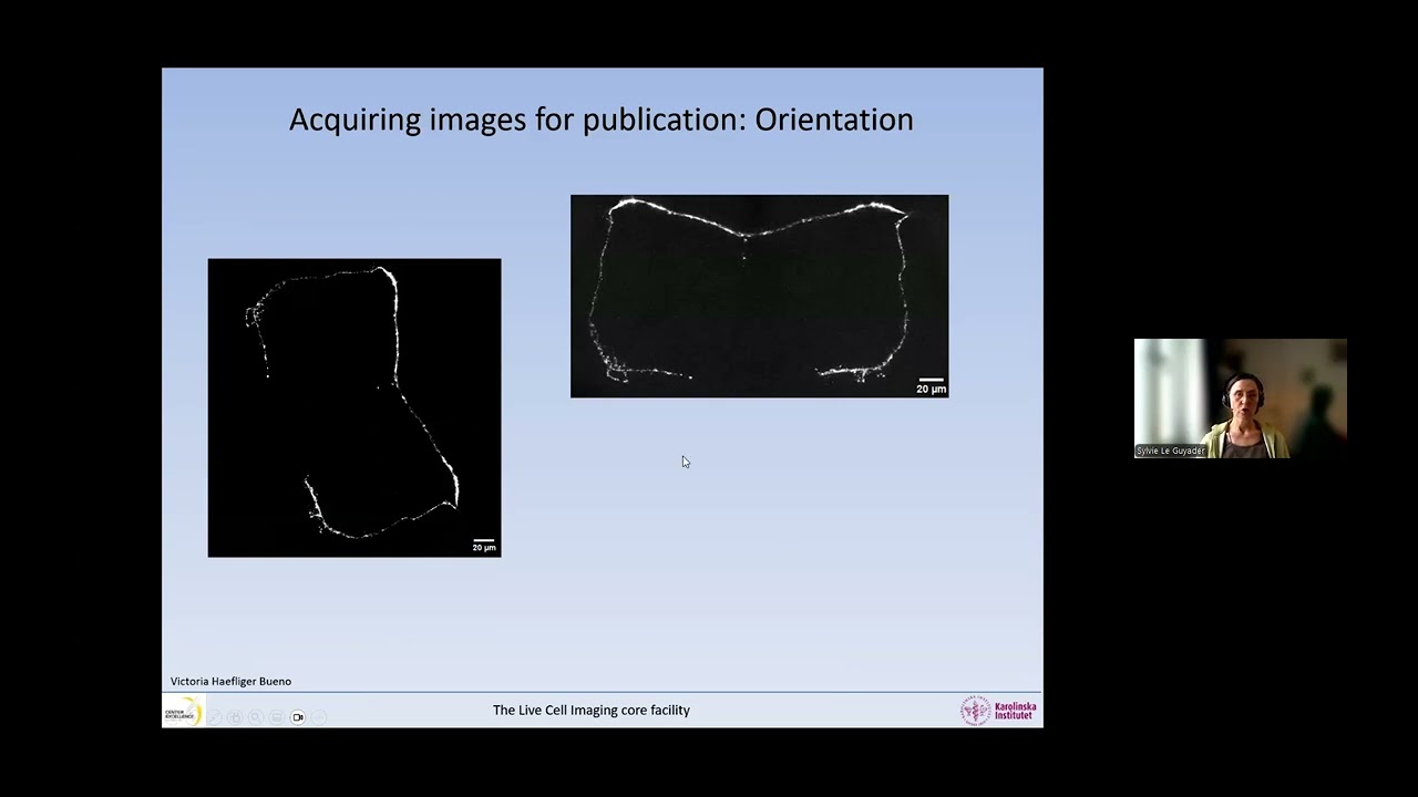 Publishing and managing images 2026