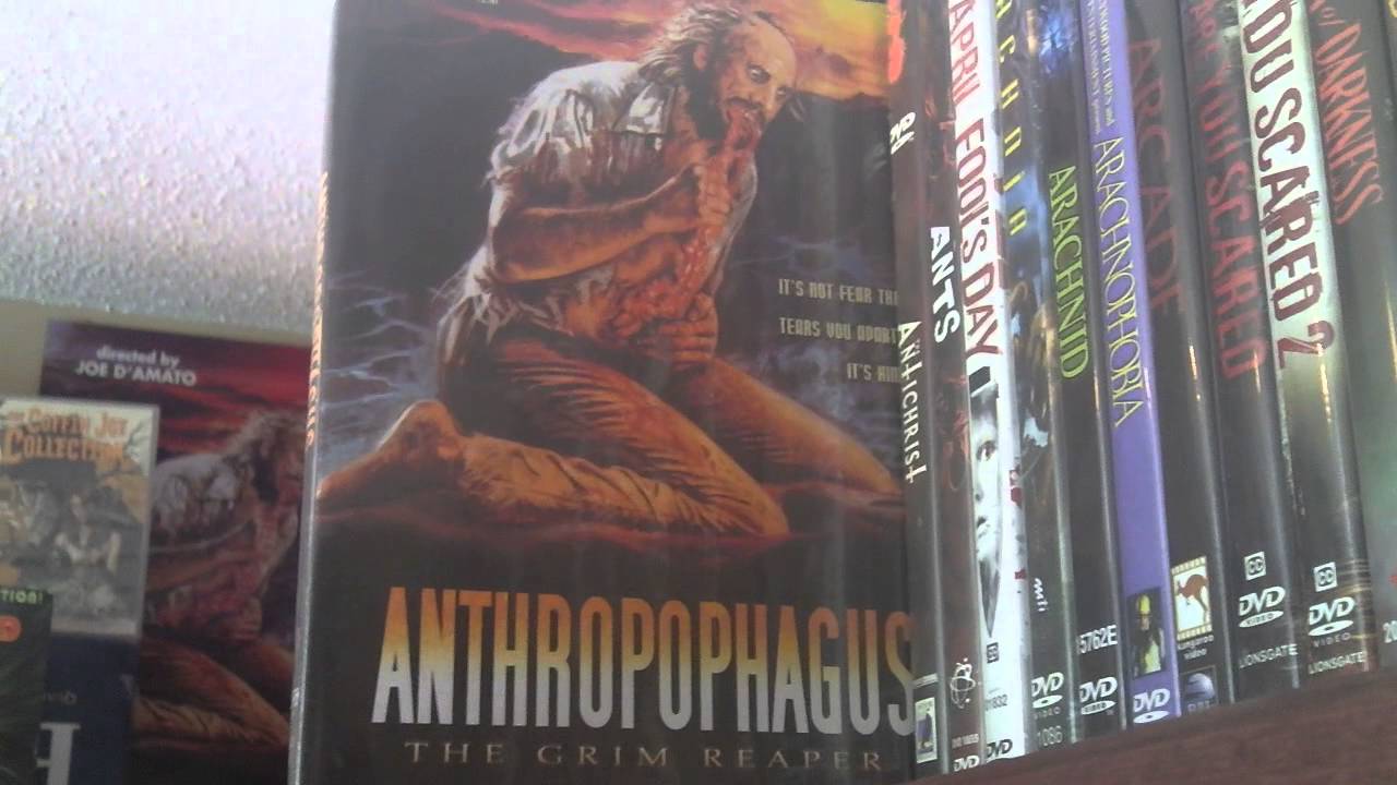 Horror DVD Collection- Shelf 1